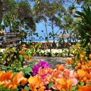 Summer colors of Bali next to the beach. greatest variety of flowers and plants as a warm welcome to Nusa Dua beach