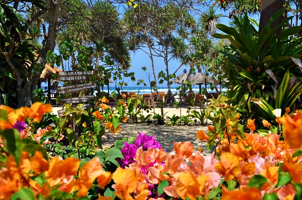 Summer colors of Bali next to the beach. greatest variety of flowers and plants as a warm welcome to Nusa Dua beach