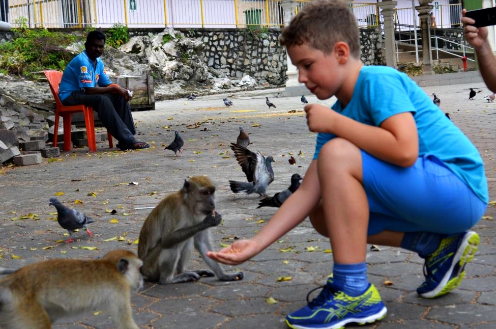My son Mateja feeds local monkeys at Batu Caves