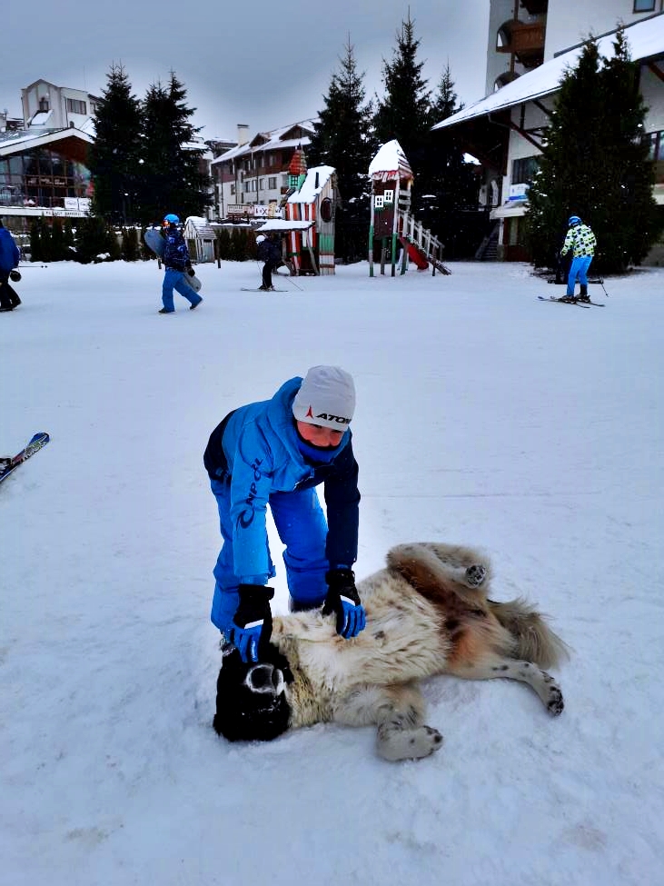 Mateja meets his Bulgarian pet in Bansko Gondola area petting a dog on the snow
