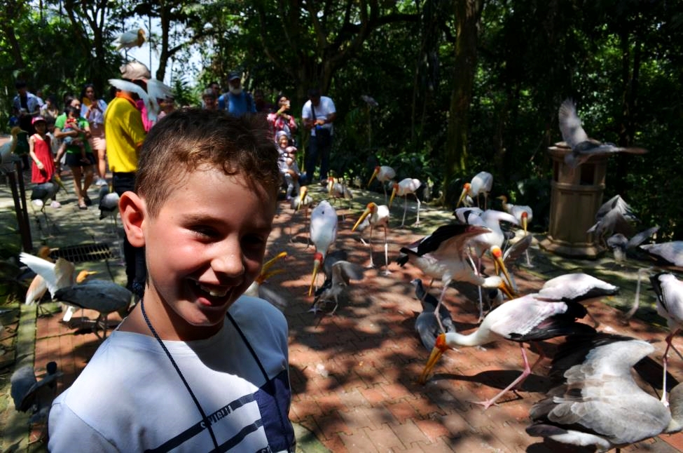 Kuala Lumpur Bird Park adventures. Mateja is happy and surrounded by great variety of birds