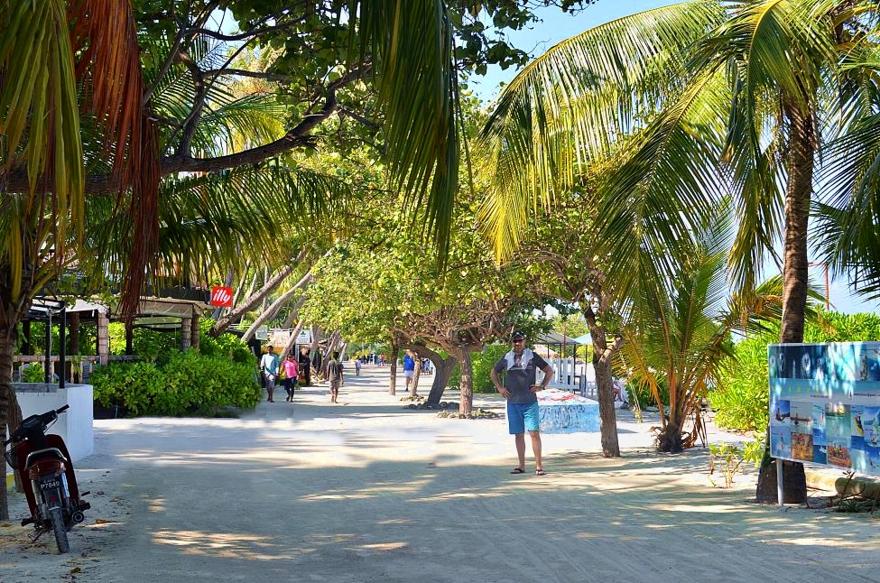 Waterfront promenade on Maafushi Island lined with palm trees