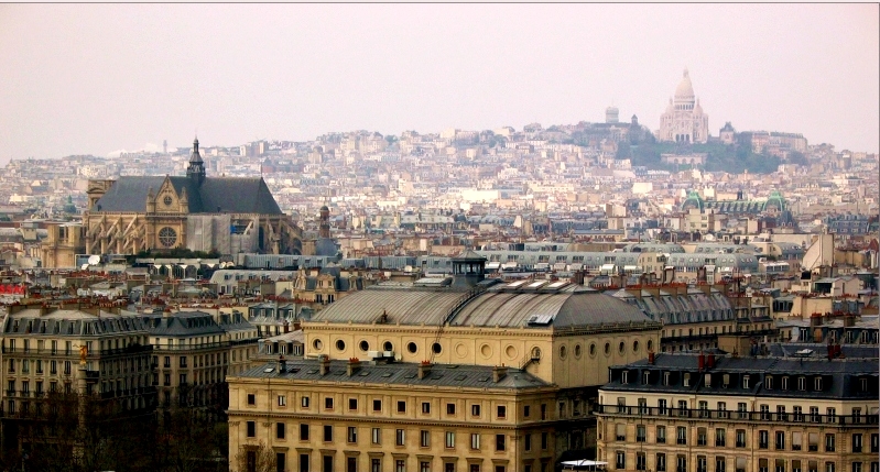 Rooftops of Parisian palaces and houses with Montmartre hill in the distance