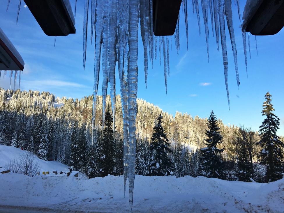 View of Jahorina slopes from Hotel Dva Javora breakfast room with ice hanging from the roof and blue sky behind